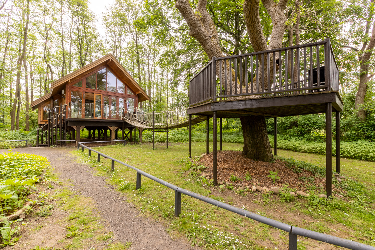 Tree House lodge