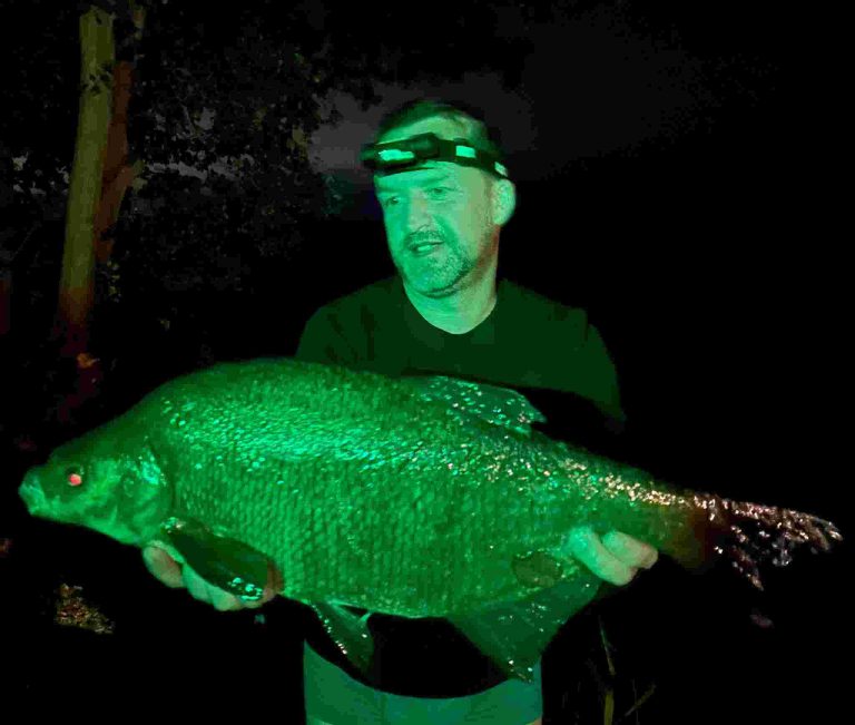 WhatsApp Image 2025-08-03 at 18.54.44